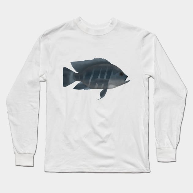 Zebra Tilapia Long Sleeve T-Shirt by FishFolkArt